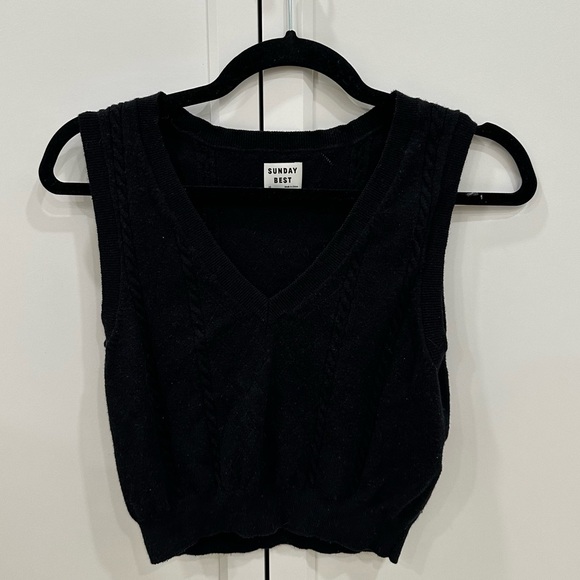 Aritzia Sweater Vest - Picture 2 of 4